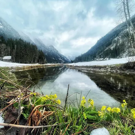 Гостьовий будинок Haus Шладмінг