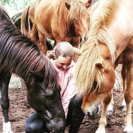 Haus Гостьовий будинок Шладмінг