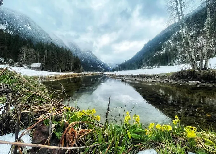 Guest house Haus Central Schladming