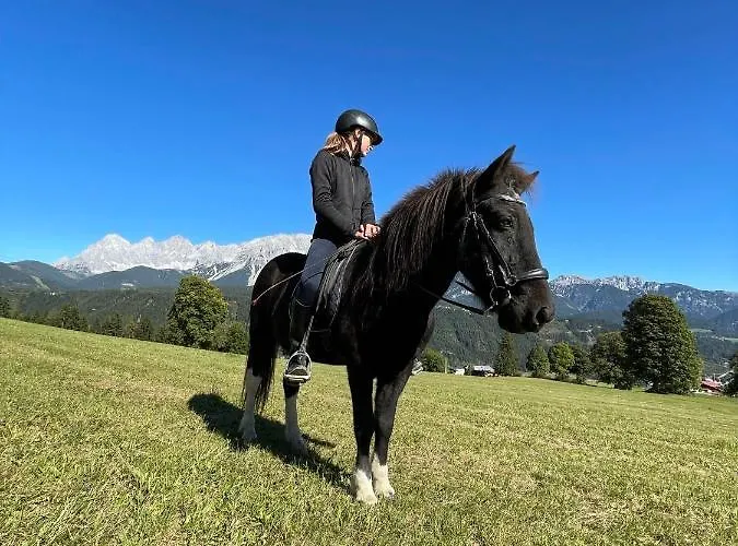 Haus Гостевой дом 4*